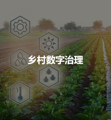 数字乡村